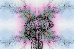 Psychology behind imposter syndrome